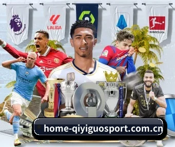 www.home-qiyiguosport.com.cn APP